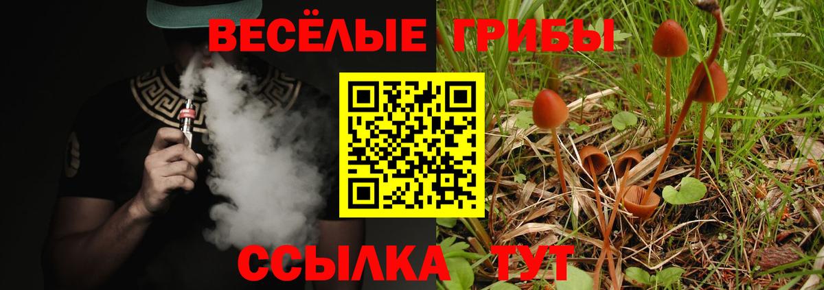 Галлюциногенные грибы Psilocybine cubensis  Вход с VPN  Ейск 